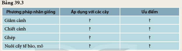 Khoa học tự nhiên 7 Bài 39: Sinh sản vô tính ở sinh vật | KHTN 7 Kết nối tri thức (ảnh 9)