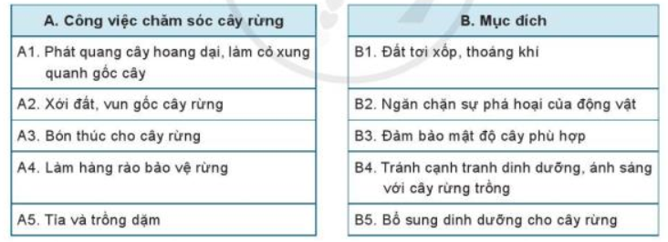 Lý thuyết Công Nghệ 7 Ôn tập Chủ đề 1: Trồng trọt và Lâm nghiệp - Cánh diều (ảnh 1)