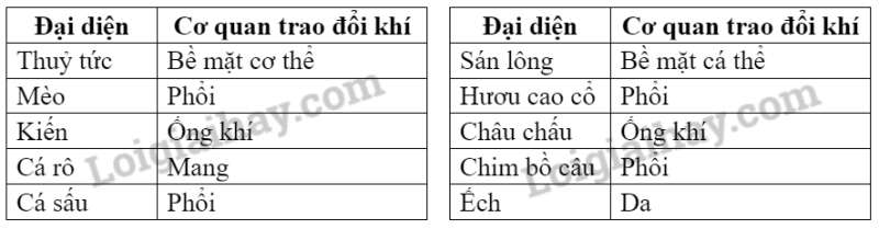 Khoa học tự nhiên 7 Bài 18: Nam châm | KHTN 7 Chân trời sáng tạo (ảnh 9)