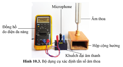 Lý thuyết KHTN 7 Bài 10 (Cánh diều 2022): Biên độ, tần số, độ cao và độ to của âm (ảnh 2)