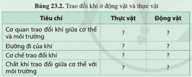 Khoa học tự nhiên 7 Bài 23: Trao đổi khí ở sinh vật | KHTN 7 Cánh diều (ảnh 11)