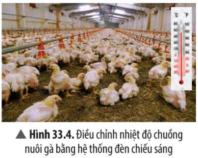 Khoa học tự nhiên 7 Bài 33: Tập tính của động vật | KHTN 7 Chân trời sáng tạo (ảnh 10)