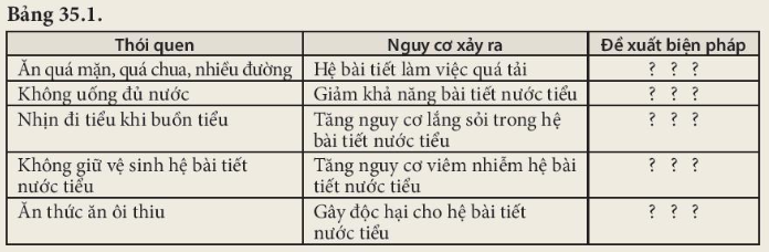 Giải SGK Khoa học tự nhiên 8 Bài 35 (Kết nối tri thức): Hệ bài tiết ở người (ảnh 2)