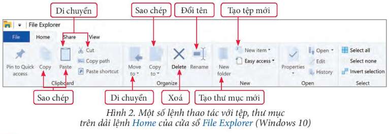 Tin học 7 Bài 3: Thực hành thao tác với tệp và thư mục | Chân trời sáng tạo (ảnh 1)