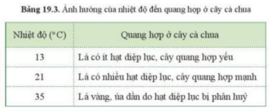 Khoa học tự nhiên 7 Bài 19: Các yếu tố ảnh hưởng đến quang hợp | KHTN 7 Cánh diều (ảnh 14)