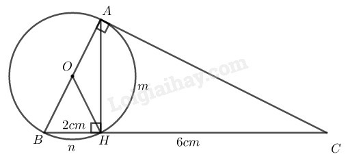 SBT Toán 9 Bài 10: Diện tích hình tròn, hình quạt tròn | Giải SBT Toán lớp 9 (ảnh 12)