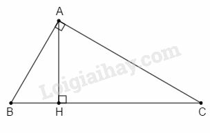 SBT Toán 9 Bài 2: Hình nón. Hình nón cụt. Diện tích xung quanh và thể tích của hình nón, hình nón cụt | Giải SBT Toán lớp 9 (ảnh 12)