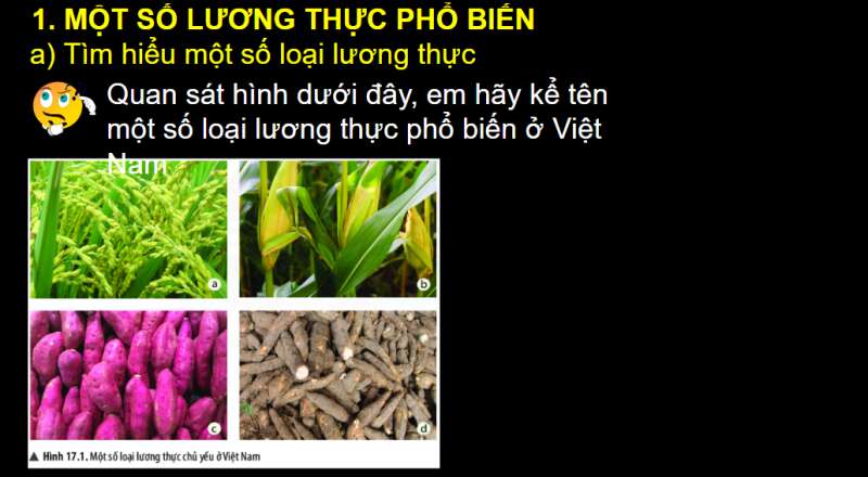 Bài giảng điện tử Một số lương thực – thực phẩm | Giáo án PPT KHTN 6 Chân trời sáng tạo (ảnh 3)