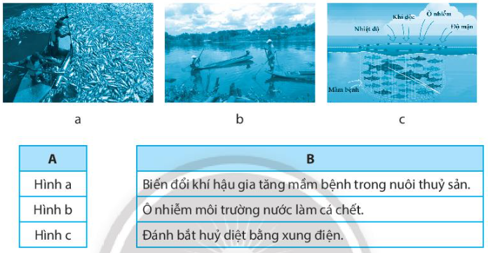 Sách bài tập Công nghệ 7 Bài 14: Bảo vệ môi trường và nguồn lợi thủy sản - Chân trời sáng tạo (ảnh 1)