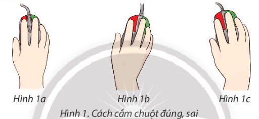 Tin học lớp 3 trang 64, 65, 66, 67, 68 Bài 11B: Luyện tập sử dụng chuột máy tính | Chân trời sáng tạo (ảnh 1)