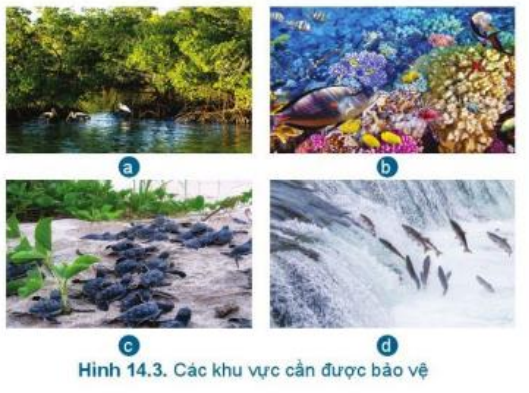 Lý thuyết Công Nghệ 7 Bài 14: Bảo vệ môi trường nuôi và nguồn lợi thuỷ sản - Cánh diều (ảnh 1)