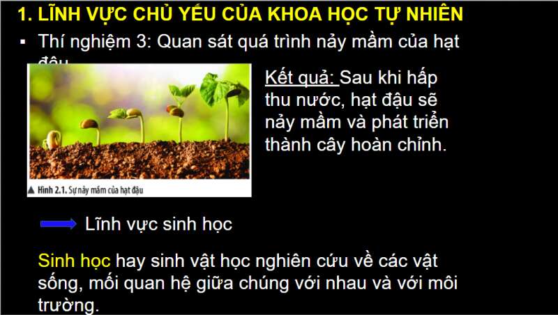 Bài giảng điện tử Bài 2: Các lĩnh vực chủ yếu của khoa học tự nhiên | Giáo án PPT KHTN 6 Chân trời sáng tạo (ảnh 5)