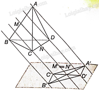 Sách bài tập Toán 11 Bài 14 (Kết nối tri thức): Phép chiếu song song (ảnh 4)