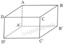 Sách bài tập Toán 11 (Kết nối tri thức) Bài tập cuối chương 4 trang 72 (ảnh 4)