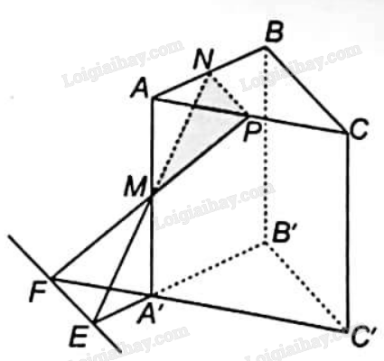 Sách bài tập Toán 11 (Kết nối tri thức) Bài tập cuối chương 4 trang 72 (ảnh 6)