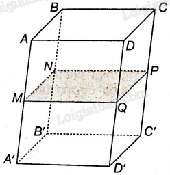 Sách bài tập Toán 11 (Kết nối tri thức) Bài tập cuối chương 4 trang 72 (ảnh 10)