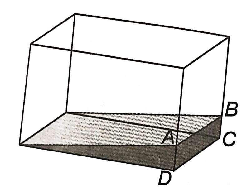 Sách bài tập Toán 11 Bài 10 (Kết nối tri thức): Đường thẳng và mặt phẳng trong không gian (ảnh 11)