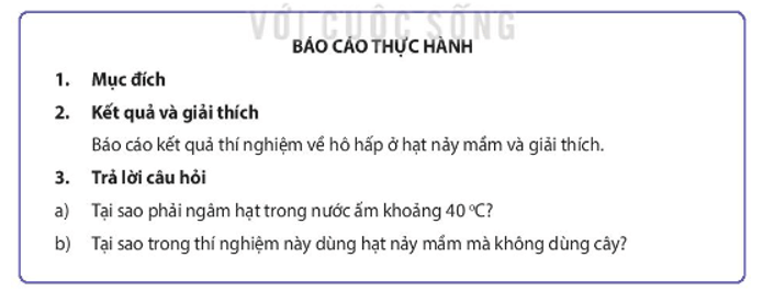 Học sinh viết báo cáo thực hành theo các nội dung sau