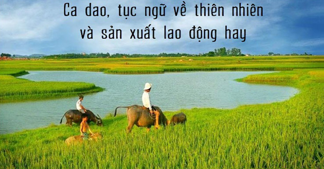 Tóm tắt Tục ngữ về thiên nhiên, lao động và con người, xã hội hay, ngắn nhất | Ngữ văn lớp 7 Cánh diều