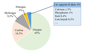 Trắc nghiệm Nguyên tố hóa học có đáp án - Khoa học tự nhiên lớp 7 Kết nối tri thức (ảnh 1)