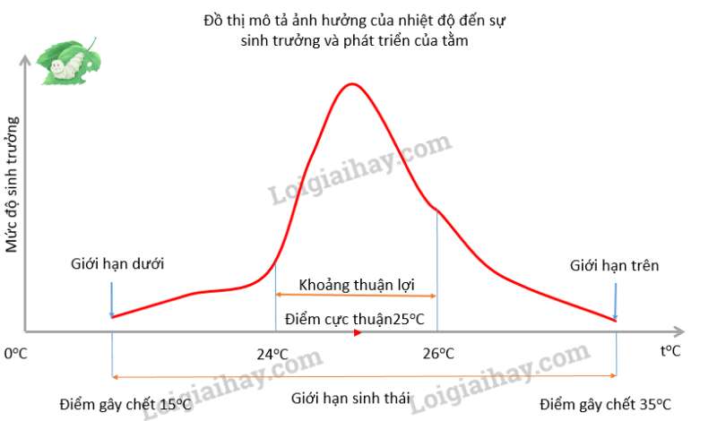 Khoa học tự nhiên 7 Bài 35: Các nhân tố ảnh hưởng đến sinh trưởng và phát triển ở sinh vật | KHTN 7 Chân trời sáng tạo (ảnh 16)