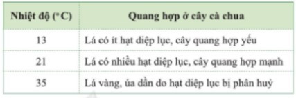 Lý thuyết Khoa học tự nhiên 7 Bài 19: Các yếu tố ảnh hưởng đến quang hợp - Cánh diều (ảnh 1)