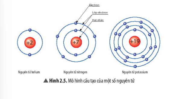  (ảnh 1)