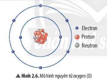  (ảnh 1)