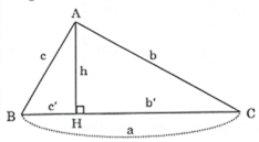 Bài tập ôn tập chương I hình học 9 (ảnh 3)