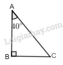 SBT Toán 9 Bài 2: Tỉ số lượng giác của góc nhọn | Giải SBT Toán lớp 9 (ảnh 2)