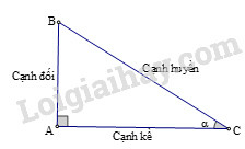 SBT Toán 9 Bài 3: Bảng lượng giác | Giải SBT Toán lớp 9 (ảnh 2)