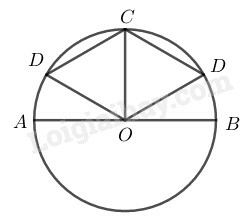 SBT Toán 9 Bài 1: Góc ở tâm. Số đo cung | Giải SBT Toán lớp 9 (ảnh 2)