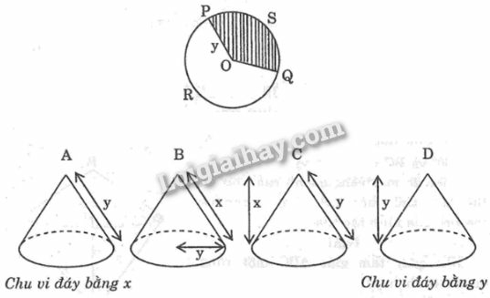 SBT Toán 9 Bài 2: Hình nón. Hình nón cụt. Diện tích xung quanh và thể tích của hình nón, hình nón cụt | Giải SBT Toán lớp 9 (ảnh 2)