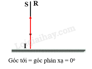 Khoa học tự nhiên 7 Bài tập Chủ đề 6 trang 75 | KHTN 7 Cánh diều (ảnh 1)