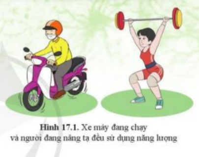 Khoa học tự nhiên 7 Bài 17: Vai trò của trao đổi chất và chuyển hóa năng lượng ở sinh vật | KHTN 7 Cánh diều (ảnh 1)