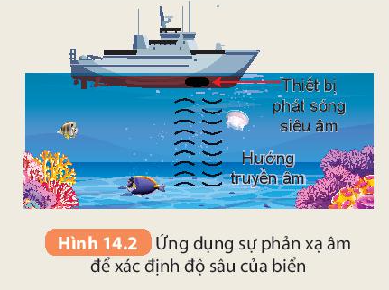 Khoa học tự nhiên 7 Bài 14: Phản xạ âm, chống ô nhiễm tiếng ồn | KHTN 7 Kết nối tri thức (ảnh 1)