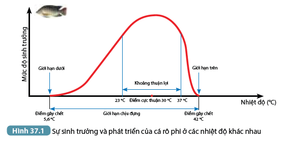 Khoa học tự nhiên 7 Bài 37: Ứng dụng sinh trưởng và phát triển ở sinh vật vào thực tiễn | KHTN 7 Kết nối tri thức (ảnh 1)