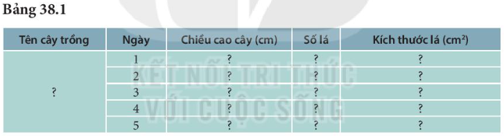 Khoa học tự nhiên 7 Bài 38: Thực hành: quan sát, mô tả sự sinh trưởng và phát triển ở một số loài sinh vật | KHTN 7 Kết nối tri thức (ảnh 1)