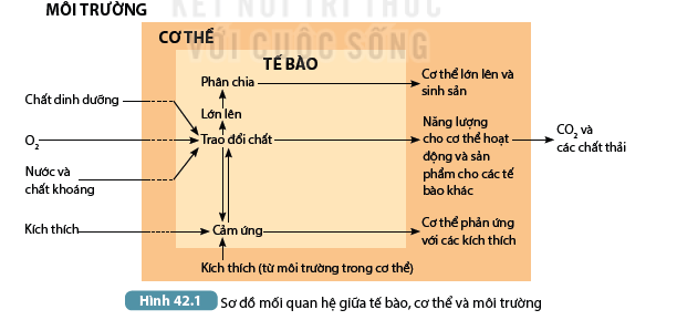 Khoa học tự nhiên 7 Bài 42: Cơ thể sinh vật là một thể thống nhất | KHTN 7 Kết nối tri thức (ảnh 1)