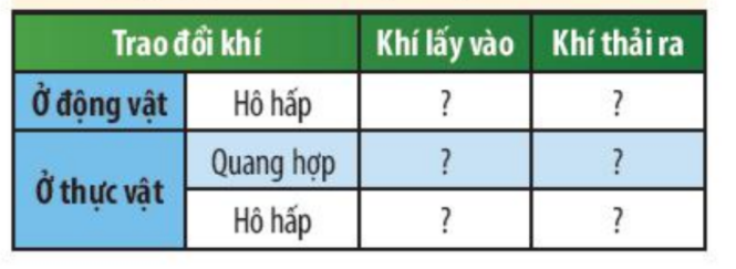 Khoa học tự nhiên 7 Bài 18: Nam châm | KHTN 7 Chân trời sáng tạo (ảnh 1)