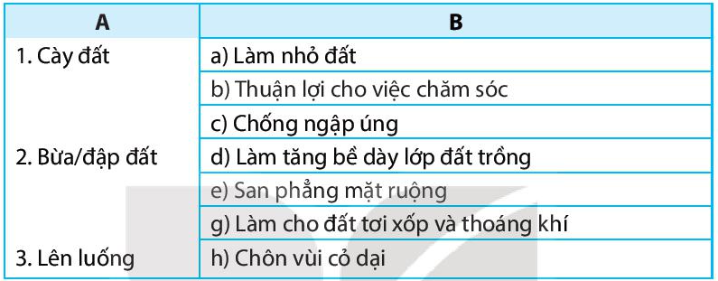 Sách bài tập Công nghệ 7 Bài 2: Làm đất trồng cây - Kết nối tri thức (ảnh 1)