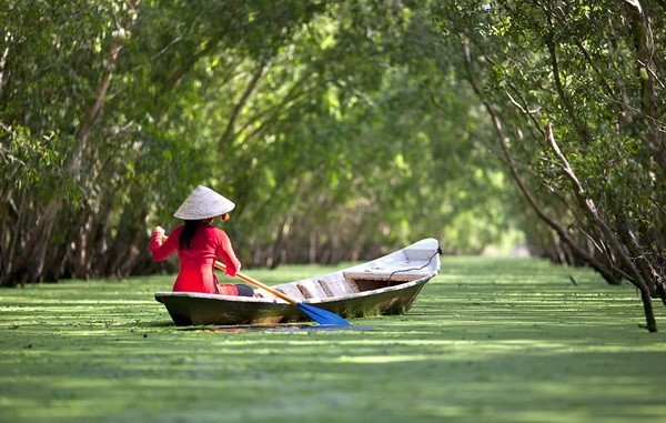 Ghe xuồng Nam Bộ - Ngữ văn lớp 7 - Cánh diều (ảnh 1)