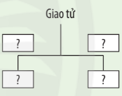 Khoa học tự nhiên 7 Bài 37: Sinh sản ở sinh vật | KHTN 7 Chân trời sáng tạo (ảnh 28)