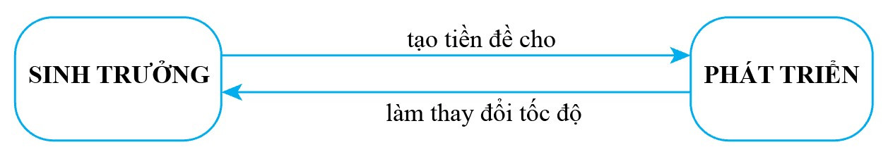 Lý thuyết Khoa học tự nhiên 7 Bài 29: Khái quát về sinh trưởng và phát triển ở sinh vật - Cánh diều (ảnh 1)