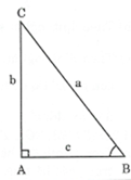 Bài tập ôn tập chương I hình học 9 (ảnh 4)