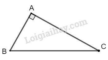 SBT Toán 9 Bài 1: Một số hệ thức về cạnh và đường cao trong tam giác vuông | Giải SBT Toán lớp 9 (ảnh 1)