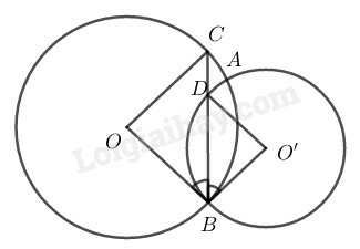 SBT Toán 9 Bài 1: Góc ở tâm. Số đo cung | Giải SBT Toán lớp 9 (ảnh 5)