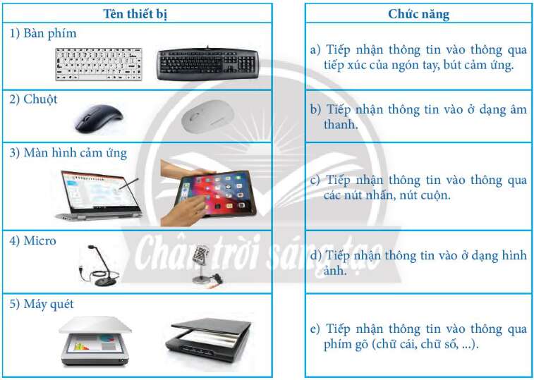 Tin học 7 Bài 1: Thiết bị vào và thiết bị ra | Chân trời sáng tạo (ảnh 2)