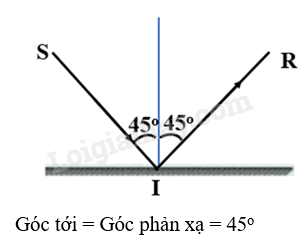 Khoa học tự nhiên 7 Bài tập Chủ đề 6 trang 75 | KHTN 7 Cánh diều (ảnh 2)