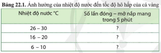 Khoa học tự nhiên 7 Bài 22: Các yếu tố ảnh hưởng đến hô hấp tế bào | KHTN 7 Cánh diều (ảnh 2)